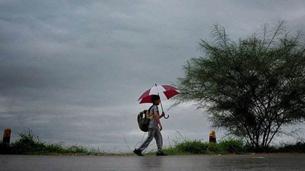 Haryana weather: फरवरी में अत्यधिक गर्मी का असर, किसानों को मौसम में बदलाव की चिंता, फसलों पर पड़ने वाला असर