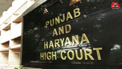 High Court Decision: साधु बनने की चाहत या झूठा फंसाया गया? हत्या के केस में आया चौंकाने वाला फैसला